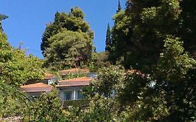 Sofia Holiday Studios